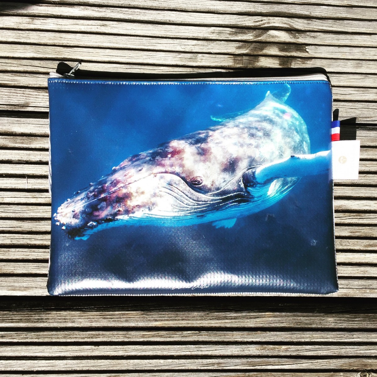 4872CBA1-B776-4161-99A0-E2D95DB4F15A