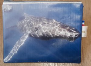 pochette moyenne pascal baleine 1
