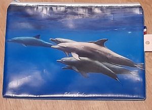 pochette moyenne pascal dauphins