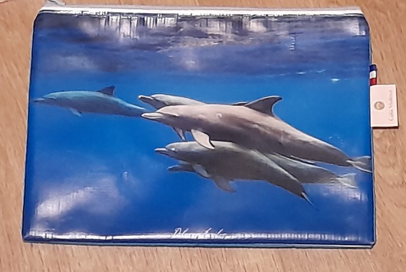 pochette moyenne pascal dauphins