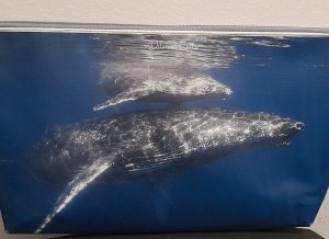 moyenne trousse lily baleine baleineau