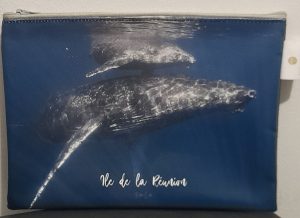 moyenne pochette pascal baleine baleineau