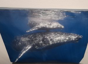 grande trousse toilette emilie baleine baleineau