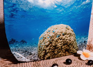 grande trousse de toilette emilie patate corail