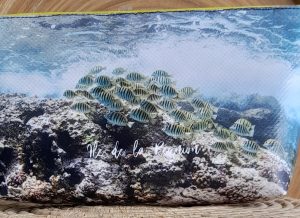 Trousse moyenne Lily Poissons rayes corail